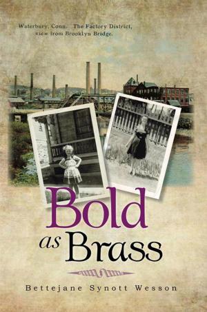 Cover of the book Bold as Brass by M.L. Lindberg