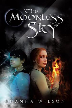 Cover of the book The Moonless Sky by Bernard G. Lord