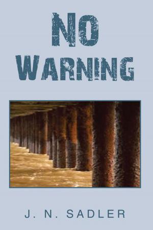 Cover of the book No Warning by Troy Legette