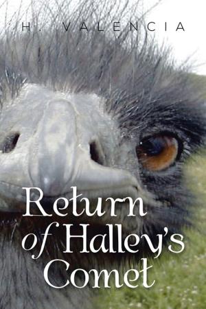 Book cover of Return of Halley’S Comet