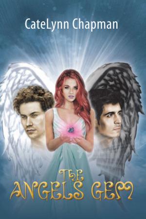 Cover of the book The Angels Gem by James H. Greene