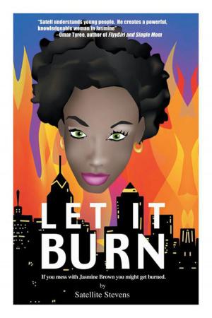Cover of the book Let It Burn by Caos Sinclair