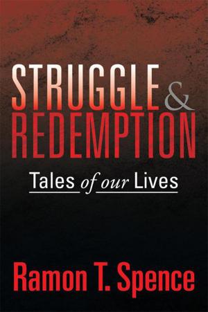 Cover of the book Struggle & Redemption by Blizzum