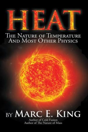 Cover of the book Heat by D.C. Koh