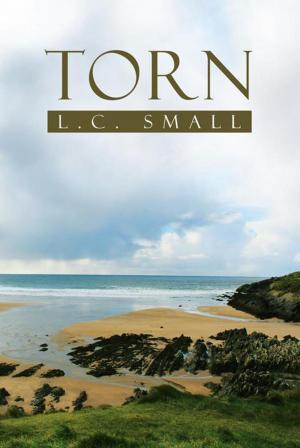 Cover of the book Torn by Lynette Barnard