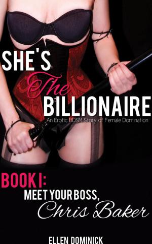 Cover of the book Meet Your Boss, Chris Baker by Caroline Linden