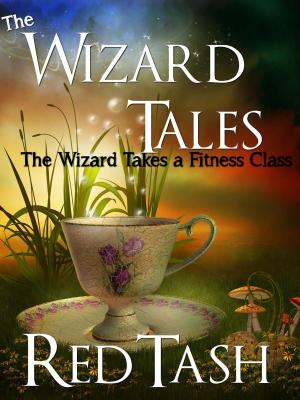 Cover of the book The Wizard Takes a Fitness Class by Allan Richard
