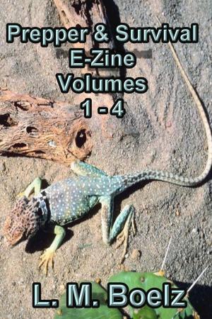 Cover of the book Prepper & Survival E-Zine 1- 4 by L M Boelz