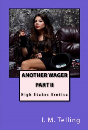 Cover of the book Another Wager by Amber Snow