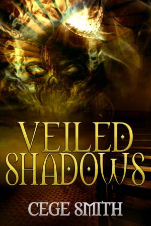 Cover of the book Veiled Shadows (Shadows #3) by Sarah Baethge