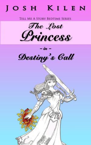 Cover of The Lost Princess in Destiny's Call