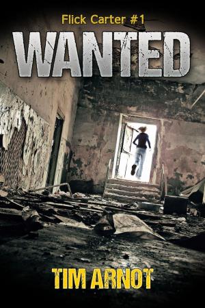 Cover of the book Wanted by D. E. Park