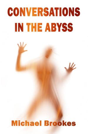 Book cover of Conversations in the Abyss