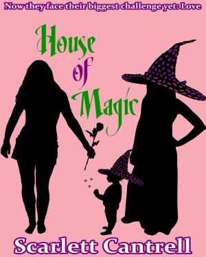 Cover of the book House of Magic by Florence Gérard