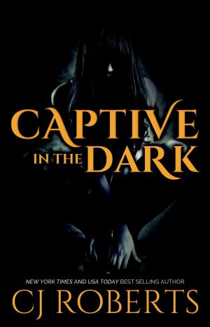 Cover of the book Captive in the Dark by Nikki James