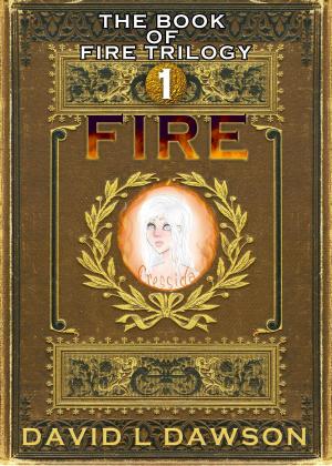 Cover of the book Fire by Jennifer Anne Davis