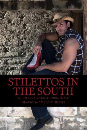 Book cover of Stilettos in the South