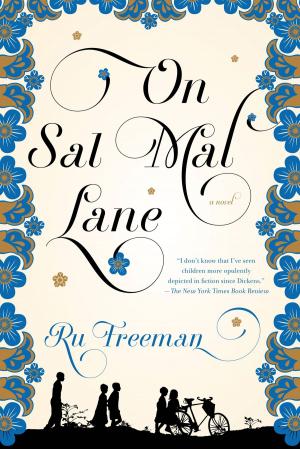 Cover of the book On Sal Mal Lane by Fiona Maazel