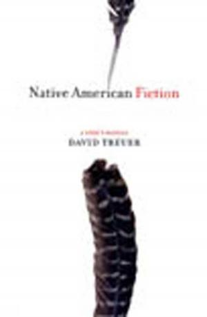 Cover of the book Native American Fiction by Jessica Francis Kane