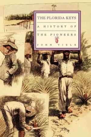 Cover of the book A History of the Pioneers by Sandra Sammons