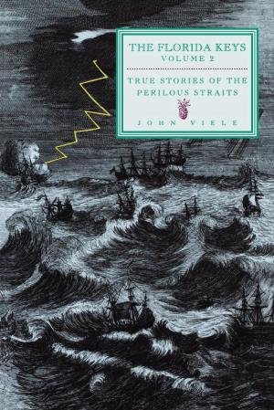 Book cover of True Stories of the Perilous Straits