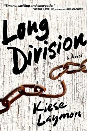 Cover of the book Long Division by Paula Haney