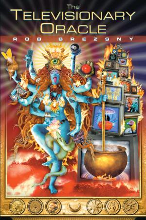 Cover of the book The Televisionary Oracle by Catherine LANG