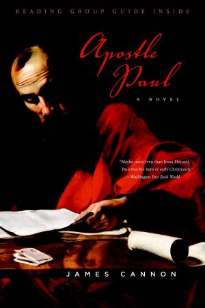 Cover of the book Apostle Paul by Miljenko Jergovic