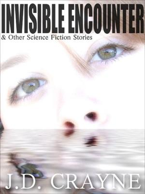 Cover of the book INVISIBLE ENCOUNTER by CHERYL ALLEN TESSLER