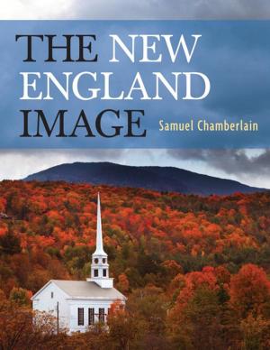 Cover of The New England Image