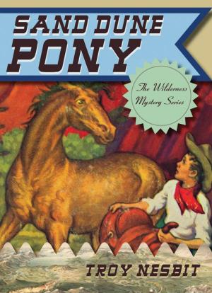 Book cover of Sand Dune Pony