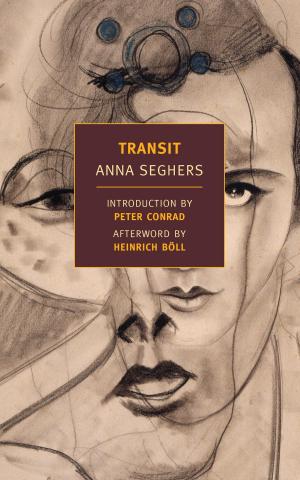 Cover of the book Transit by Ian Buruma
