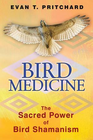 Cover of the book Bird Medicine by Zlatoslava Petrak