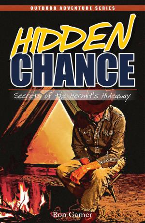 Cover of the book Hidden Chance by Bruce Danielson, Ann Berg