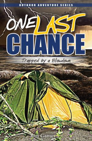 Cover of the book One Last Chance by Teresa Marrone