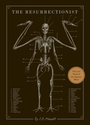 Cover of the book The Resurrectionist by James Buckley, Jr.