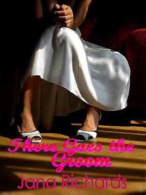 Book cover of There Goes the Groom