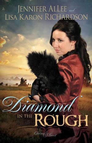 Cover of the book Diamond in the Rough by David H. Millar