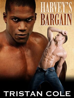 Cover of the book Harvey's Bargain by Giselle Renarde