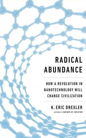 Cover of the book Radical Abundance by Ama Marston, Stephanie Marston