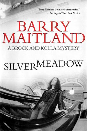 Cover of the book Silvermeadow by Anne Franklin