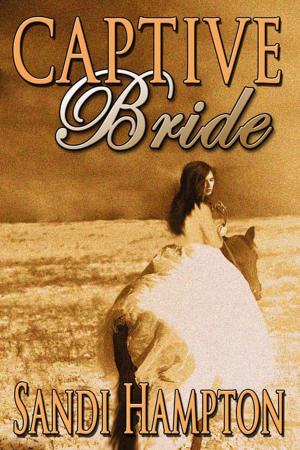 Cover of the book Captive Bride by Nika  Rhone
