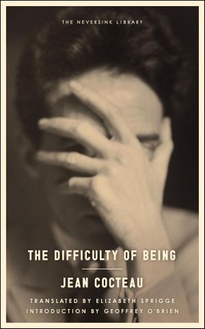 bigCover of the book The Difficulty of Being by 