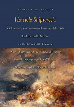 Cover of the book Horrible Shipwreck! by R. A. Burt