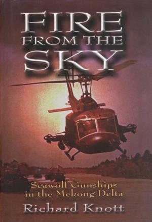 Cover of the book Fire from the Sky by Richard Dick Keresey