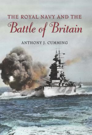 Cover of the book The Royal Navy and the Battle of Britain by W.J. Holmes