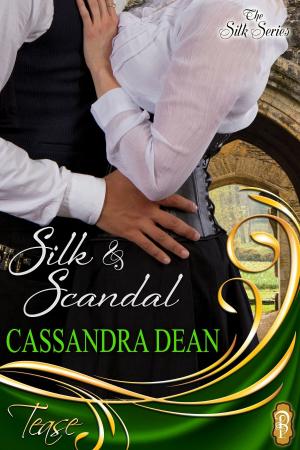 bigCover of the book Silk and Scandal by 