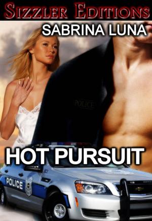 Cover of the book HOT PURSUIT by Larry Maddock