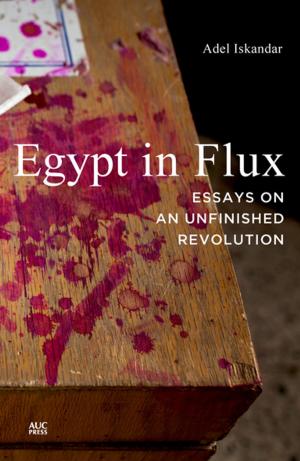 Cover of the book Egypt in Flux by David Sims