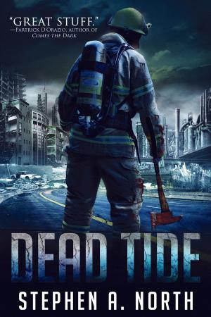 Cover of the book Dead Tide by Rob Shelsky